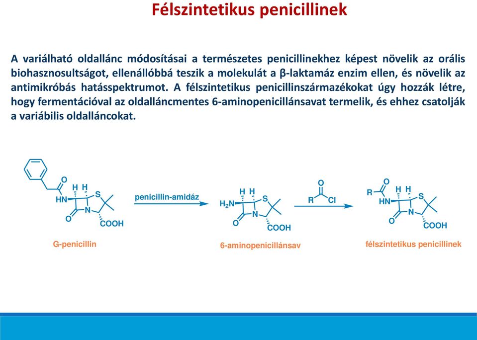 A félszintetikus penicillinszármazékokat úgy hozzák létre, hogy fermentációval az oldalláncmentes 6-aminopenicillánsavat