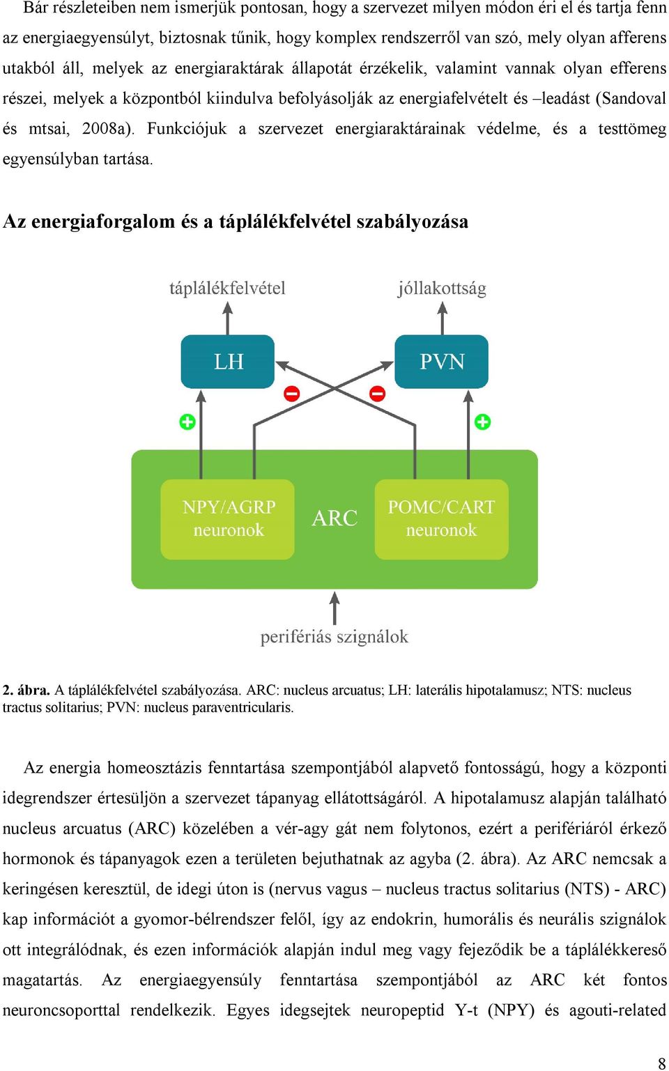 Funkciójuk a szervezet energiaraktárainak védelme, és a testtömeg egyensúlyban tartása. Az energiaforgalom és a táplálékfelvétel szabályozása 2. ábra. A táplálékfelvétel szabályozása.