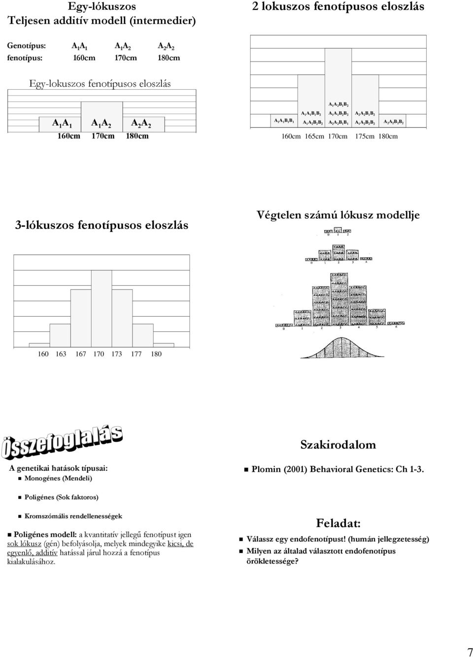 3-lókuszos fenotípusos eloszlás Végtelen számú lókusz modellje 160 163 167 170 173 177 180 Szakirodalom A genetikai hatások típusai: Monogénes (Mendeli) Plomin (2001) Behavioral Genetics: Ch 1-3.