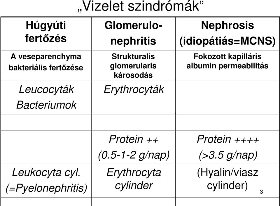 (idiopátiás=mcns) Fokozott kapilláris albumin permeabilitás Leukocyta cyl.