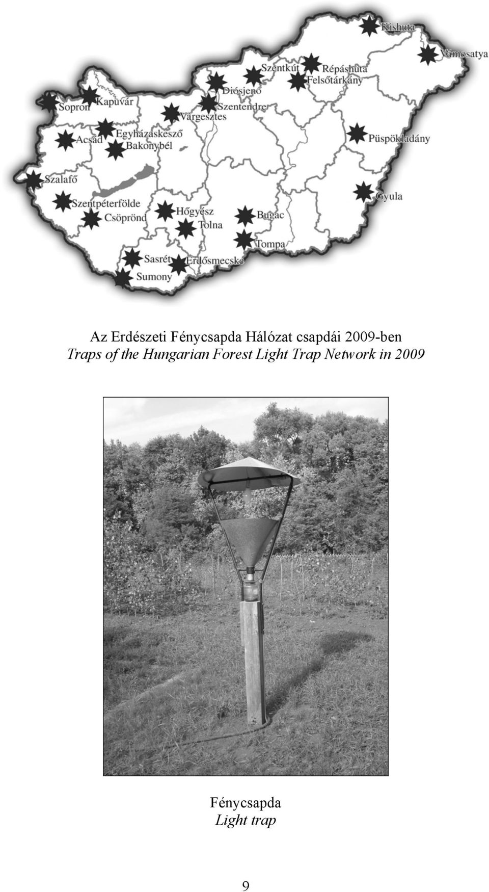 Hungarian Forest Light Trap