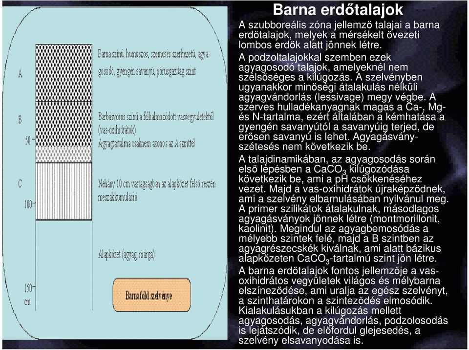 A szerves hulladékanyagnak magas a Ca-, Mgés N-tartalma, ezért általában a kémhatása a gyengén savanyútól a savanyúig terjed, de erısen savanyú is lehet. Agyagásványszétesés nem következik be.