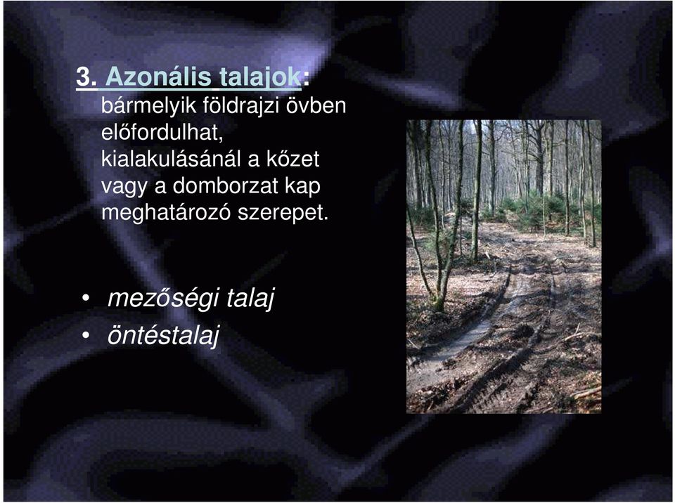 kialakulásánál a kızet vagy a