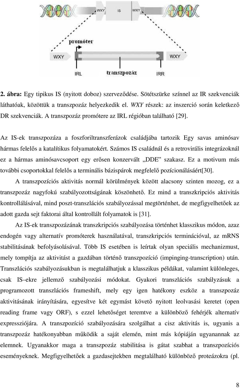 Számos IS családnál és a retrovirális integrázoknál ez a hármas aminósavcsoport egy erısen konzervált DDE szakasz.