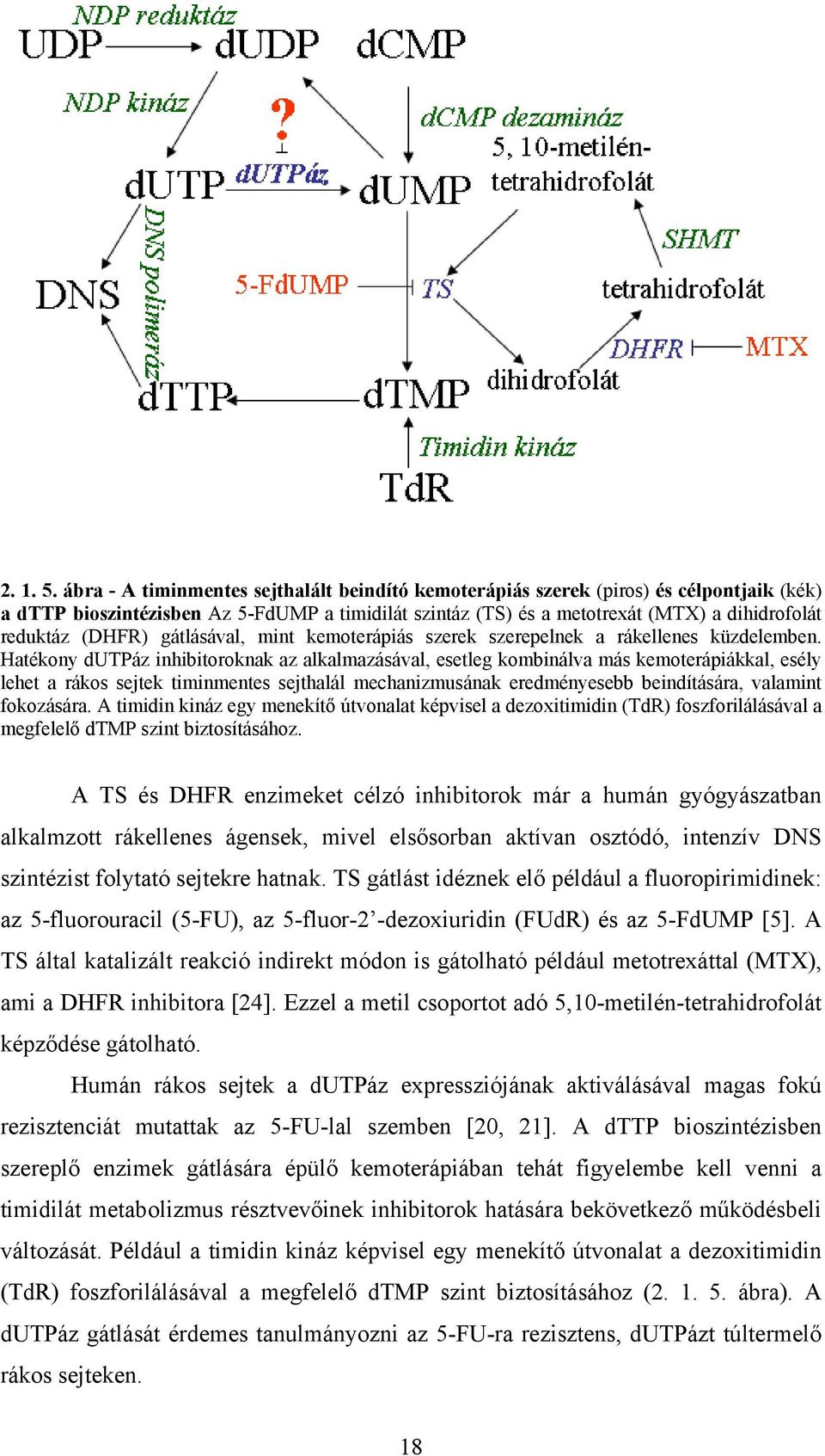 (DHFR) gátlásával, mint kemoterápiás szerek szerepelnek a rákellenes küzdelemben.