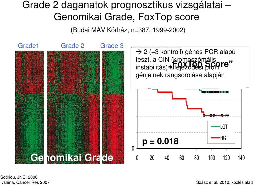 Grade 2 daganatok prognosztikus vizsgálatai Genomikai Grade, FoxTop score (Budai MÁV Kórház, n=387, 1999-2002) Grade1 Grade 2 Grade 3 2 (+3 kontroll) génes