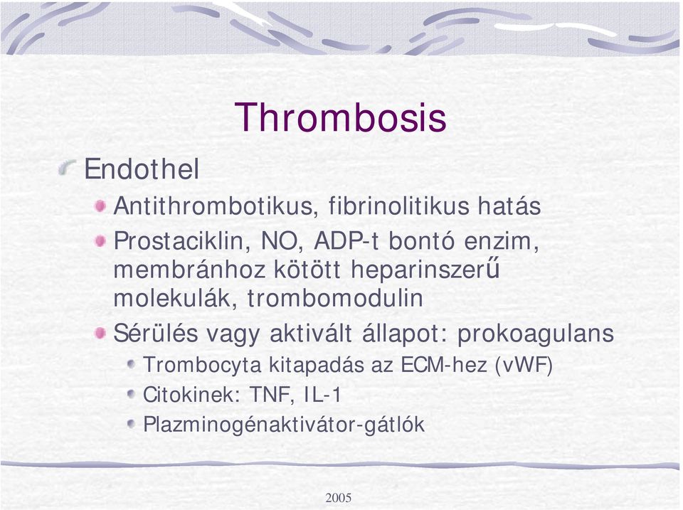 molekulák, trombomodulin Sérülés vagy aktivált állapot: prokoagulans