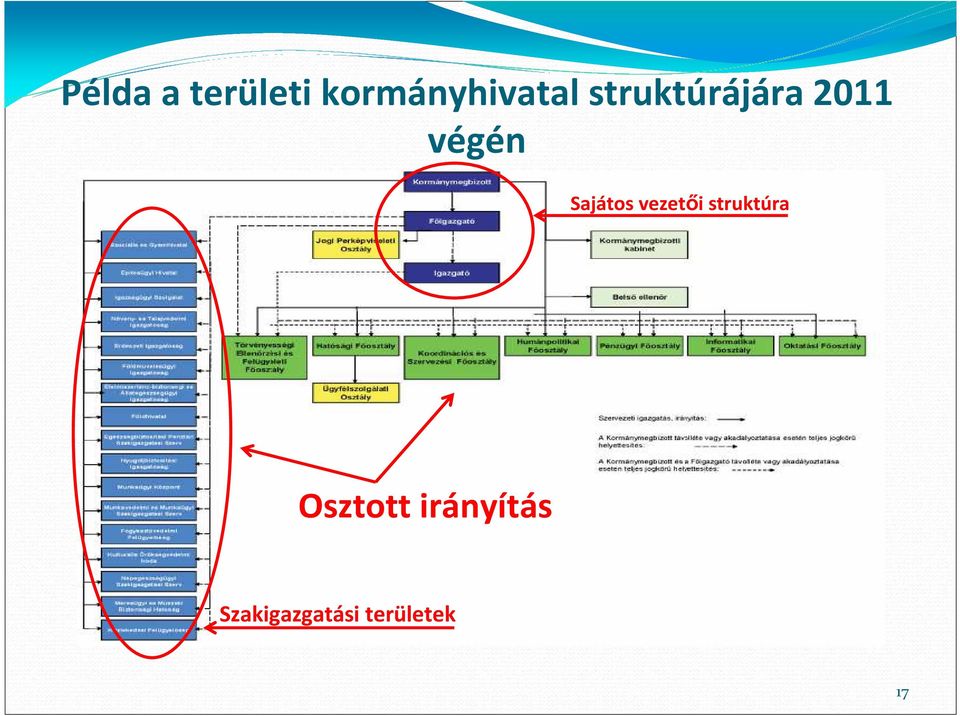 Sajátos vezetői struktúra
