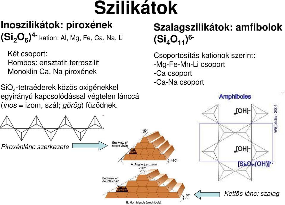 kapcsolódással végtelen lánccá (inos = izom, szál; görög) főzıdnek.