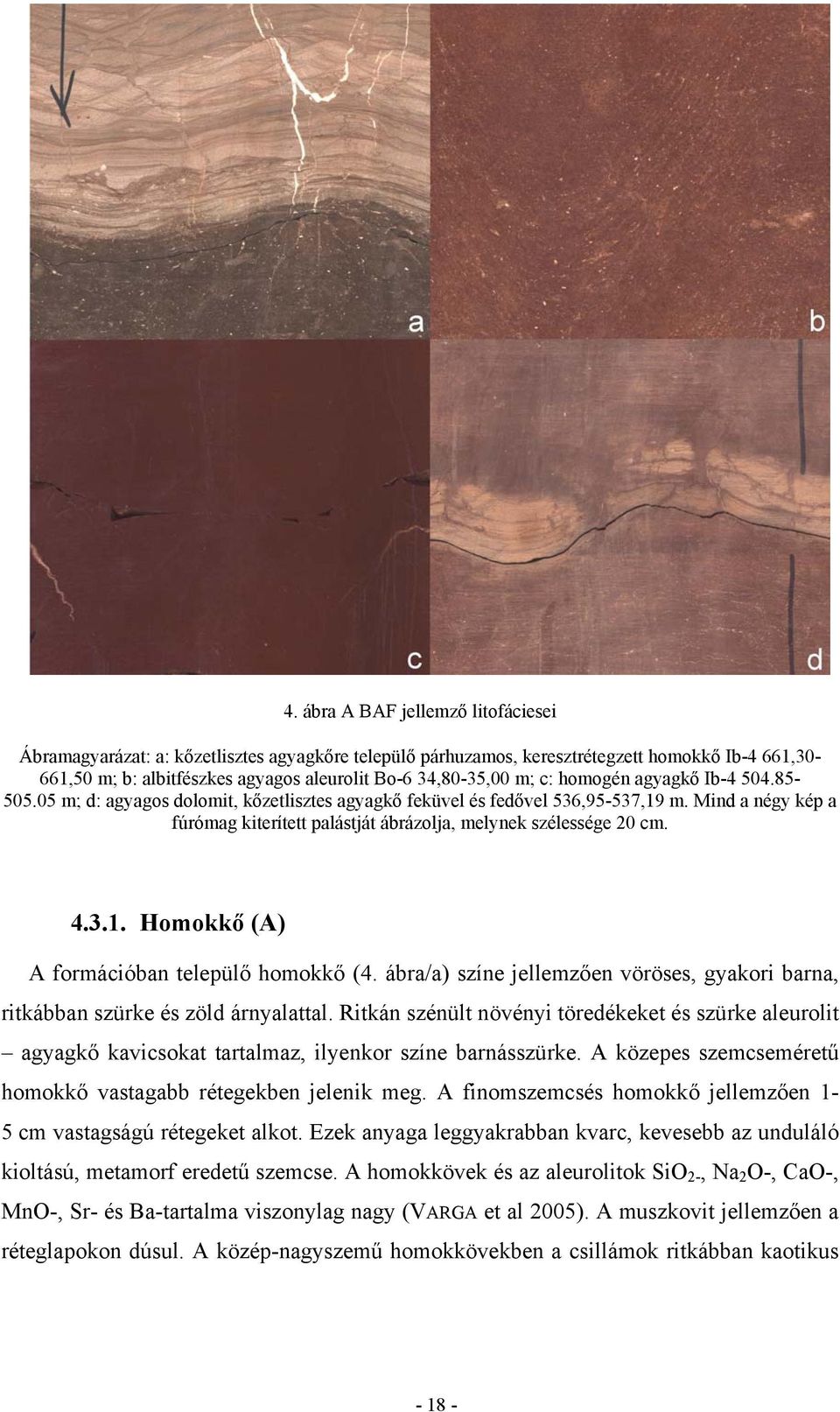 Mind a négy kép a fúrómag kiterített palástját ábrázolja, melynek szélessége 20 cm. 4.3.1. Homokkő (A) A formációban települő homokkő (4.