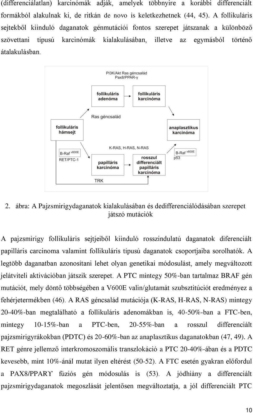 ábra: A Pajzsmirigydaganatok kialakulásában és dedifferenciálódásában szerepet játszó mutációk A pajzsmirigy follikuláris sejtjeiből kiinduló rosszindulatú daganatok diferenciált papilláris carcinoma