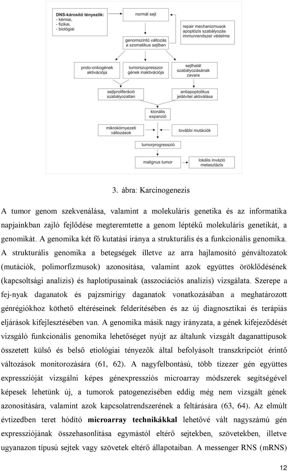 A strukturális genomika a betegségek illetve az arra hajlamosító génváltozatok (mutációk, polimorfizmusok) azonosítása, valamint azok együttes öröklődésének (kapcsoltsági analízis) és haplotípusainak