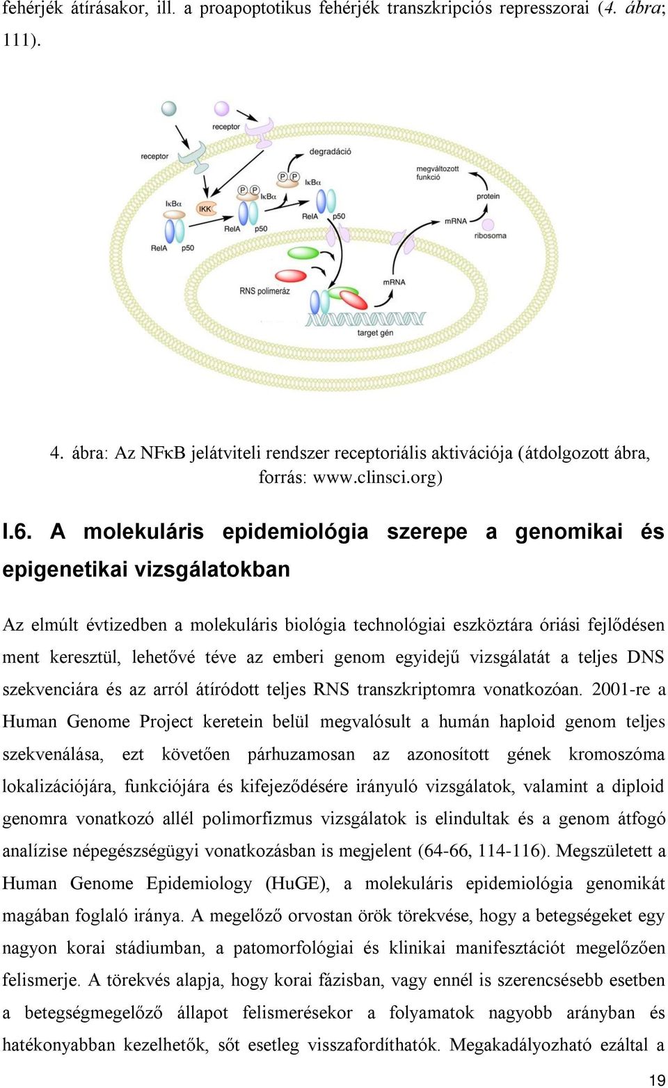 A molekuláris epidemiológia szerepe a genomikai és epigenetikai vizsgálatokban Az elmúlt évtizedben a molekuláris biológia technológiai eszköztára óriási fejlődésen ment keresztül, lehetővé téve az