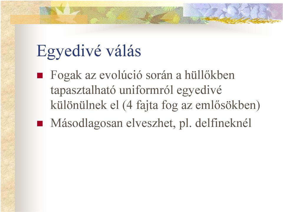 egyedivé különülnek el (4 fajta fog az