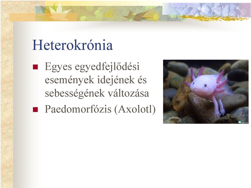 idejének és sebességének