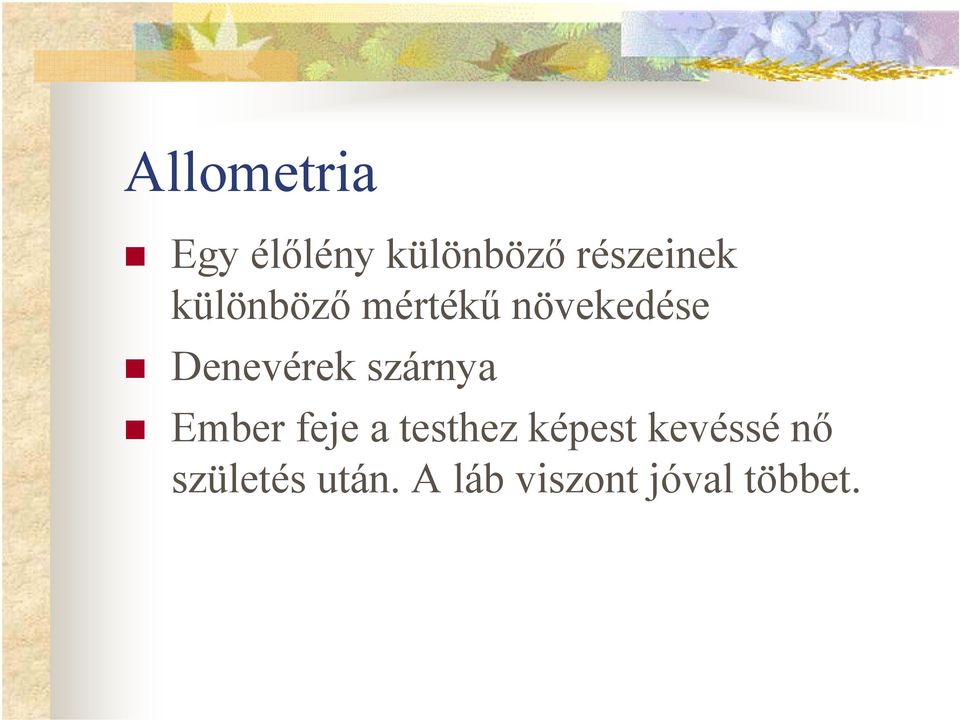szárnya Ember feje a testhez képest