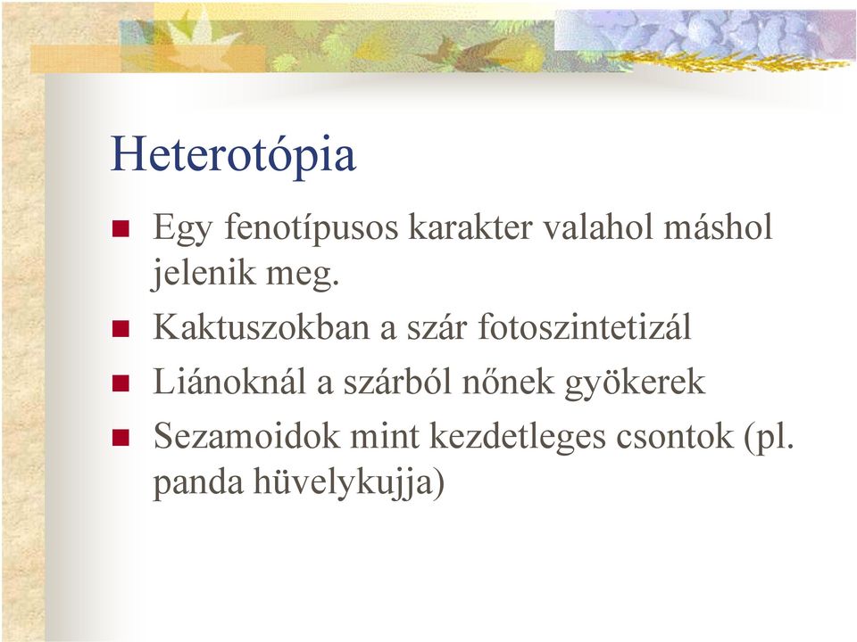 Kaktuszokban a szár fotoszintetizál Liánoknál a