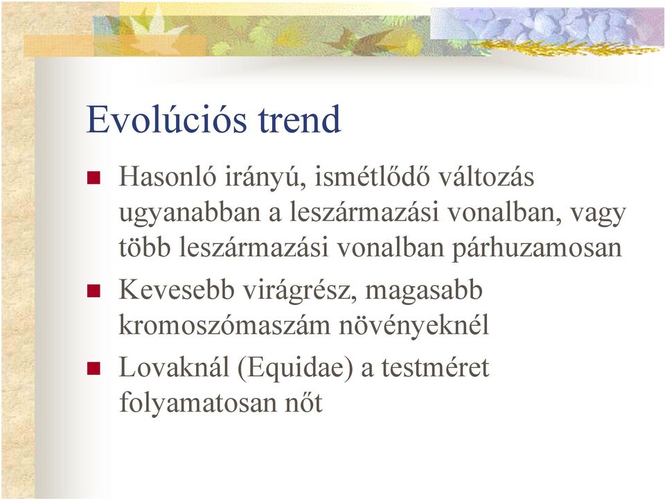 vonalban párhuzamosan Kevesebb virágrész, magasabb