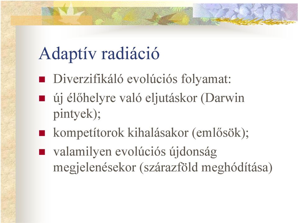 kompetítorok kihalásakor (emlősök); valamilyen