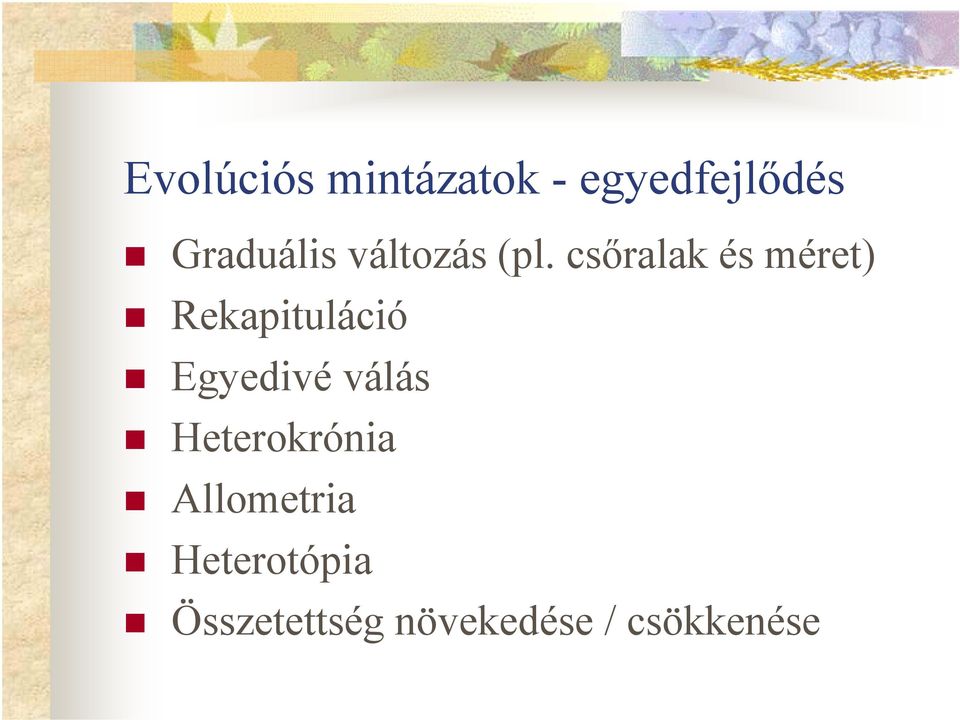 csőralak és méret) Rekapituláció Egyedivé