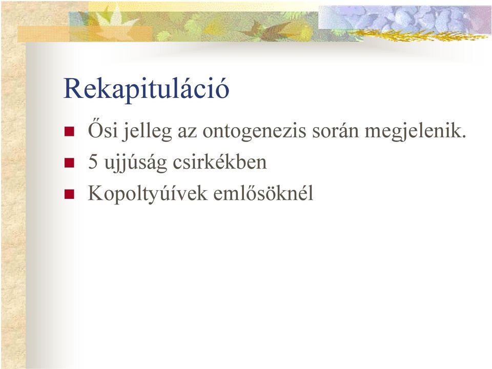 megjelenik.