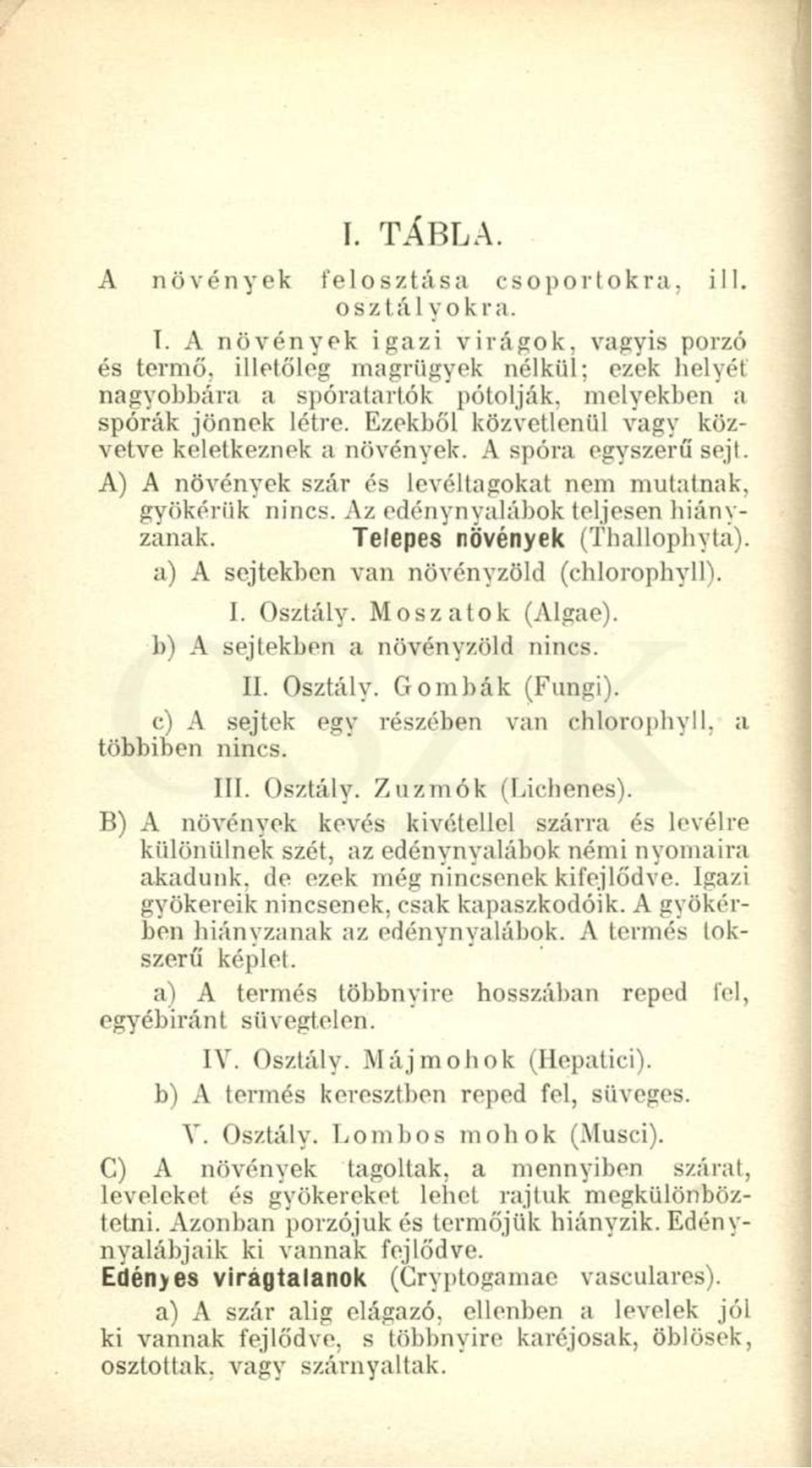 Ezekből közvetlenül vagy közvetve keletkeznek a növények. A spóra egyszerű sejt. A) A növények szár és levéltagokat nem mutatnak, gyökérük nincs. Az edénynyalábok teljesen hiányzanak.