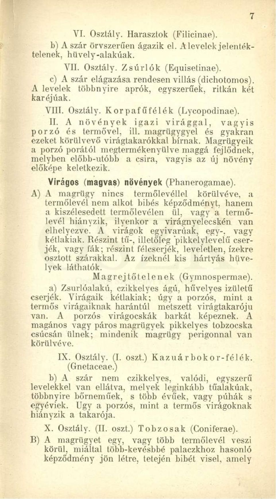 magrügygyel és gyakran ezeket körülvevő virágtakarókkal bírnak. Magrügyeik a porzó porától megtermékenyülve maggá fejlődnek, melyben előbb-utóbb a csira, vagyis az új növény előképe keletkezik.