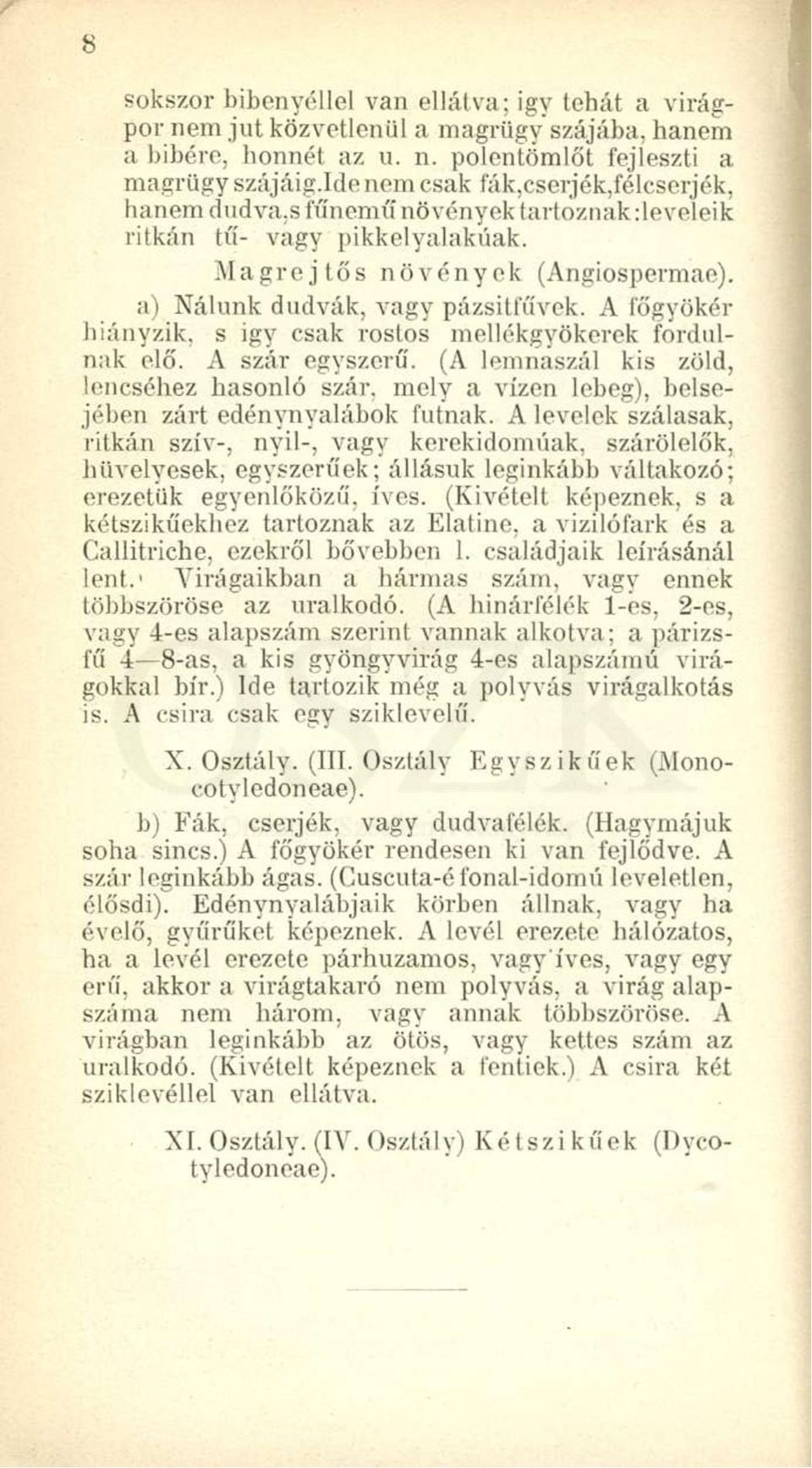A főgyökér hiányzik, s igy csak rostos mellékgyökerek fordulnak eló'. A szár egyszerű. (A lemnaszál kis zöld, lencséhez hasonló szár, mely a vízen lebeg), belsejében zárt edénynyalábok futnak.