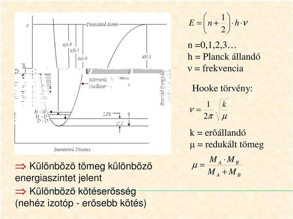 jelent Különbözı kötéserısség (nehéz izotóp - erısebb kötés)