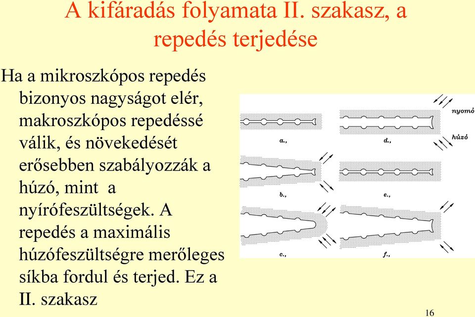 elér, makroszkópos repedéssé válik, és növekedését erősebben szabályozzák