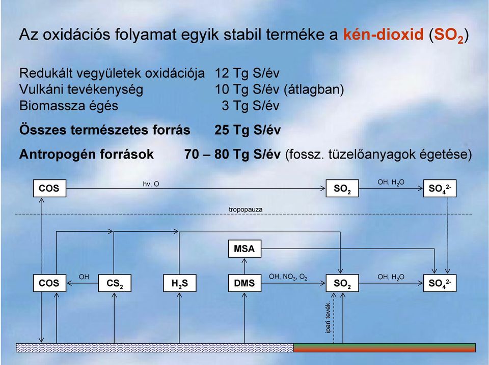 forrás 25 Tg S/év Antropogén források 70 80 Tg S/év (fossz.