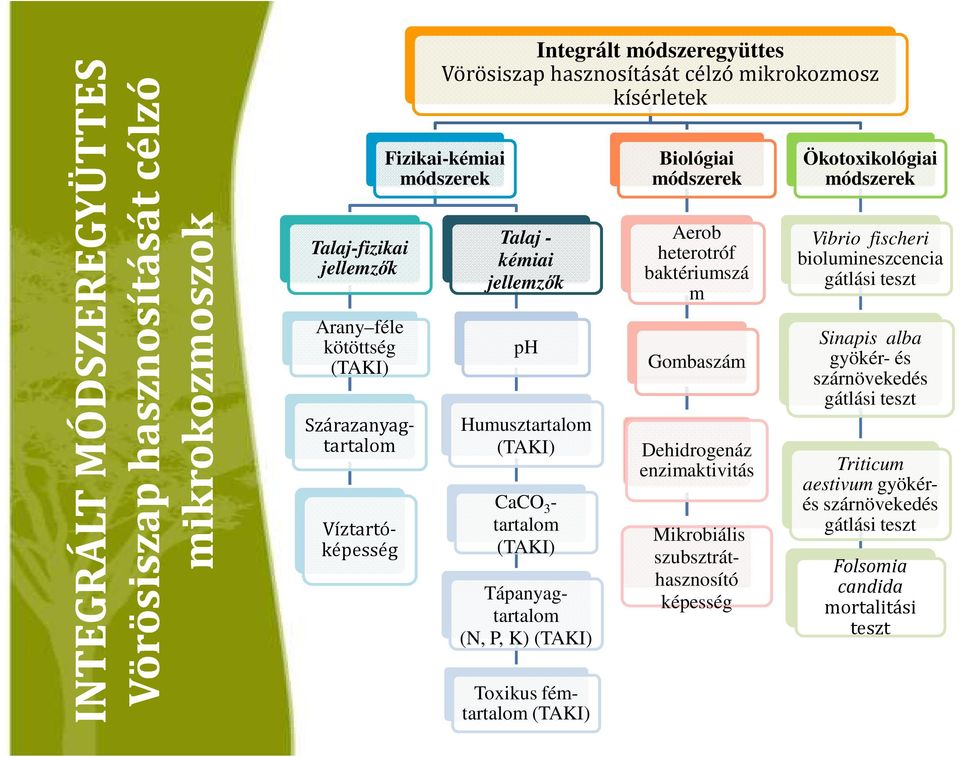 Toxikus fémtartalom Biológiai módszerek Aerob heterotróf baktériumszá m Gombaszám Dehidrogenáz enzimaktivitás Mikrobiális szubsztráthasznosító képesség Ökotoxikológiai módszerek