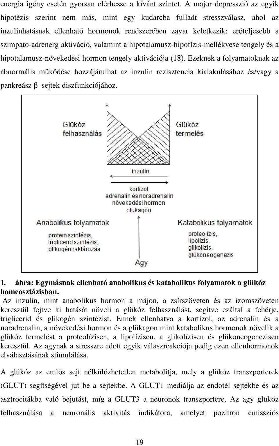 szimpato-adrenerg adrenerg aktiváció, valamint a hipotalamusz-hipofízis-mellékvese mellékvese tengely és a hipotalamusz-növekedési hormon tengely aktivációja (18).