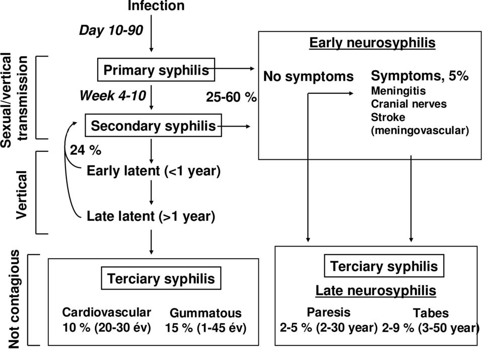 Meningitis Cranial nerves Stroke (meningovascular) Not contagious Cardiovascular 10 % (20-30 év) Terciary