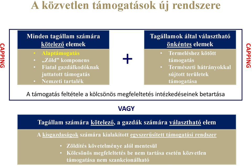 támogatás feltétele a kölcsönös megfeleltetés intézkedéseinek betartása VAGY Tagállam számára kötelező, a gazdák számára választható elem A kisgazdaságok