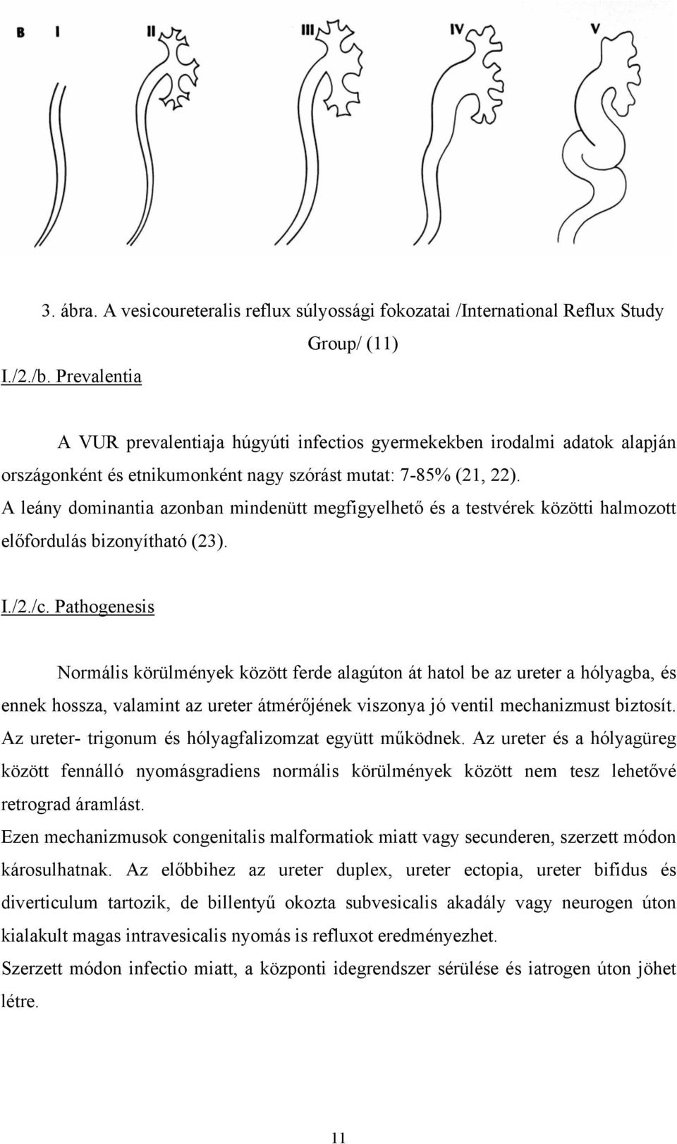 A leány dominantia azonban mindenütt megfigyelhető és a testvérek közötti halmozott előfordulás bizonyítható (23). I./2./c.