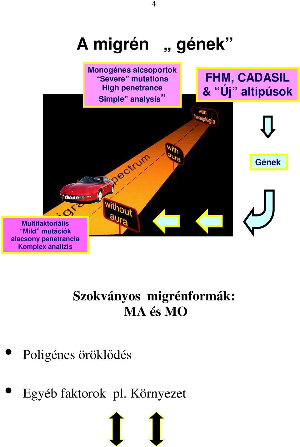 Multifaktoriális Mild mutációk alacsony penetrancia Komplex analizis