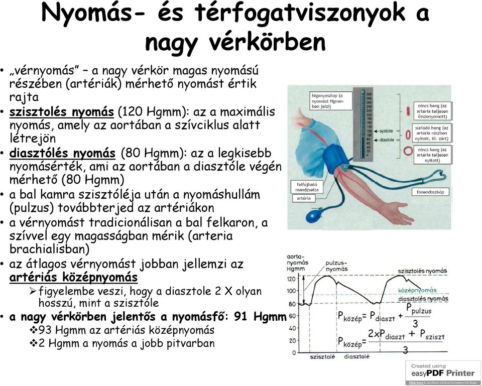 nyomáshullám (pulzus) továbbterjed az artériákon a vérnyomást tradicionálisan a bal felkaron, a szívvel egy magasságban mérik (arteria brachialisban) az átlagos vérnyomást jobban jellemzi az