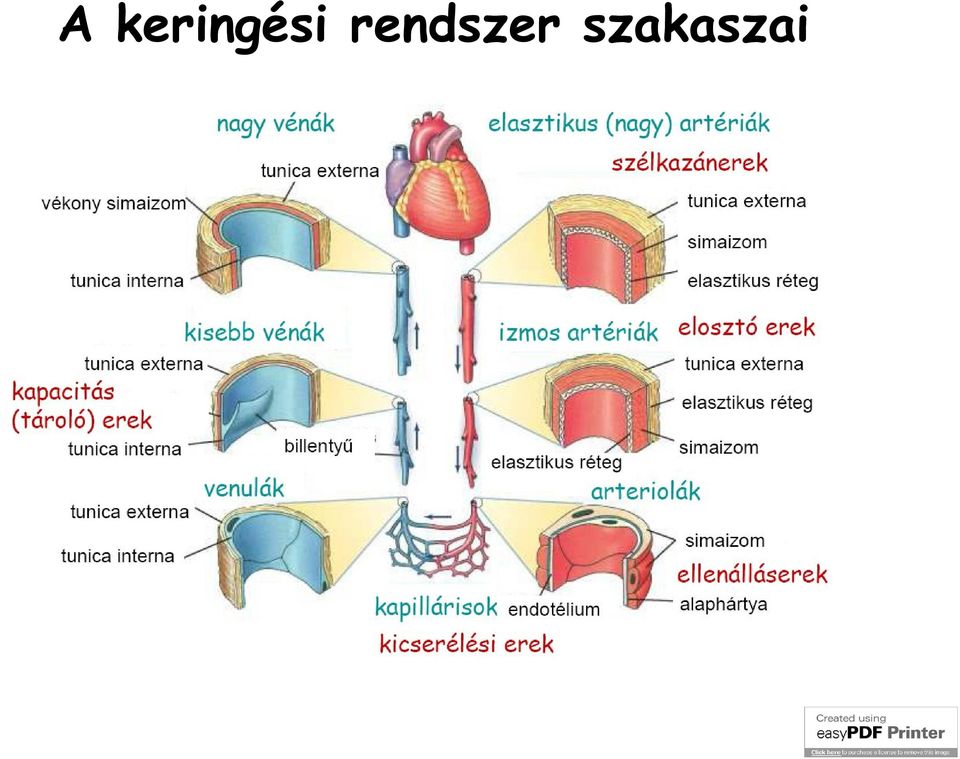 rendszer