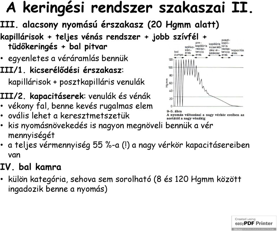 bennük III/1. kicserélődési érszakasz: kapillárisok + posztkapilláris venulák III/2.