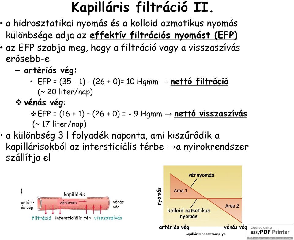 szabja meg, hogy a filtráció vagy a visszaszívás erősebb-e artériás vég: EFP = (35-1) - (26 + 0)= 10 Hgmm nettó