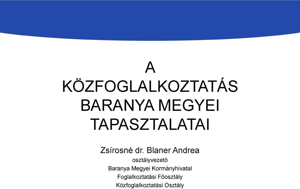dr. Blaner Andrea osztályvezető Baranya Megyei