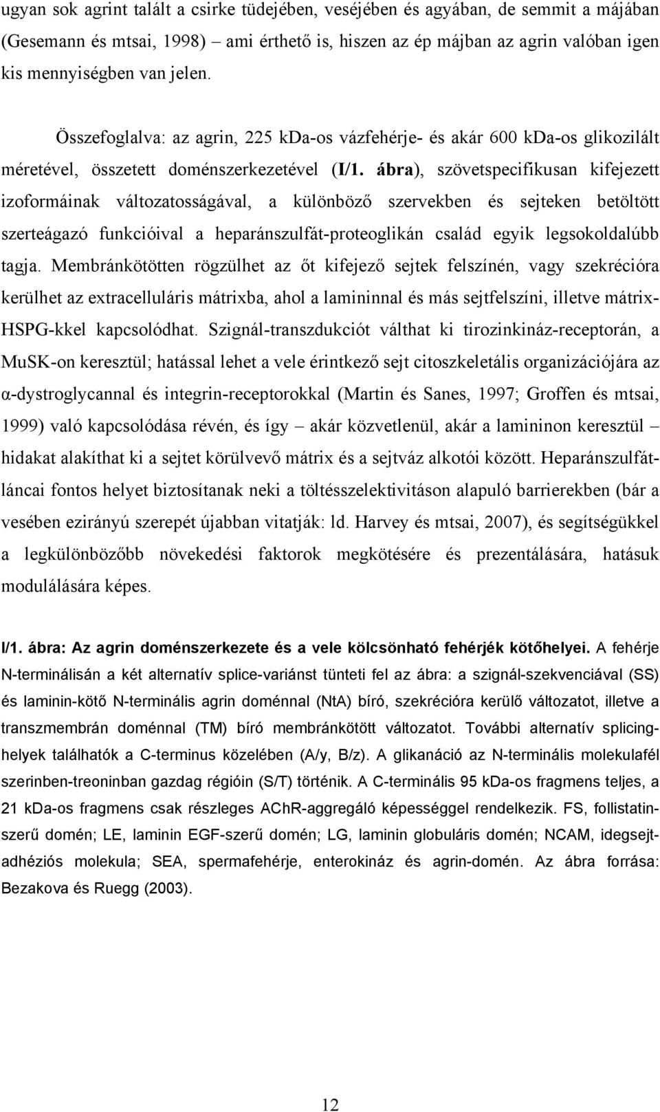 ábra), szövetspecifikusan kifejezett izoformáinak változatosságával, a különböző szervekben és sejteken betöltött szerteágazó funkcióival a heparánszulfát-proteoglikán család egyik legsokoldalúbb