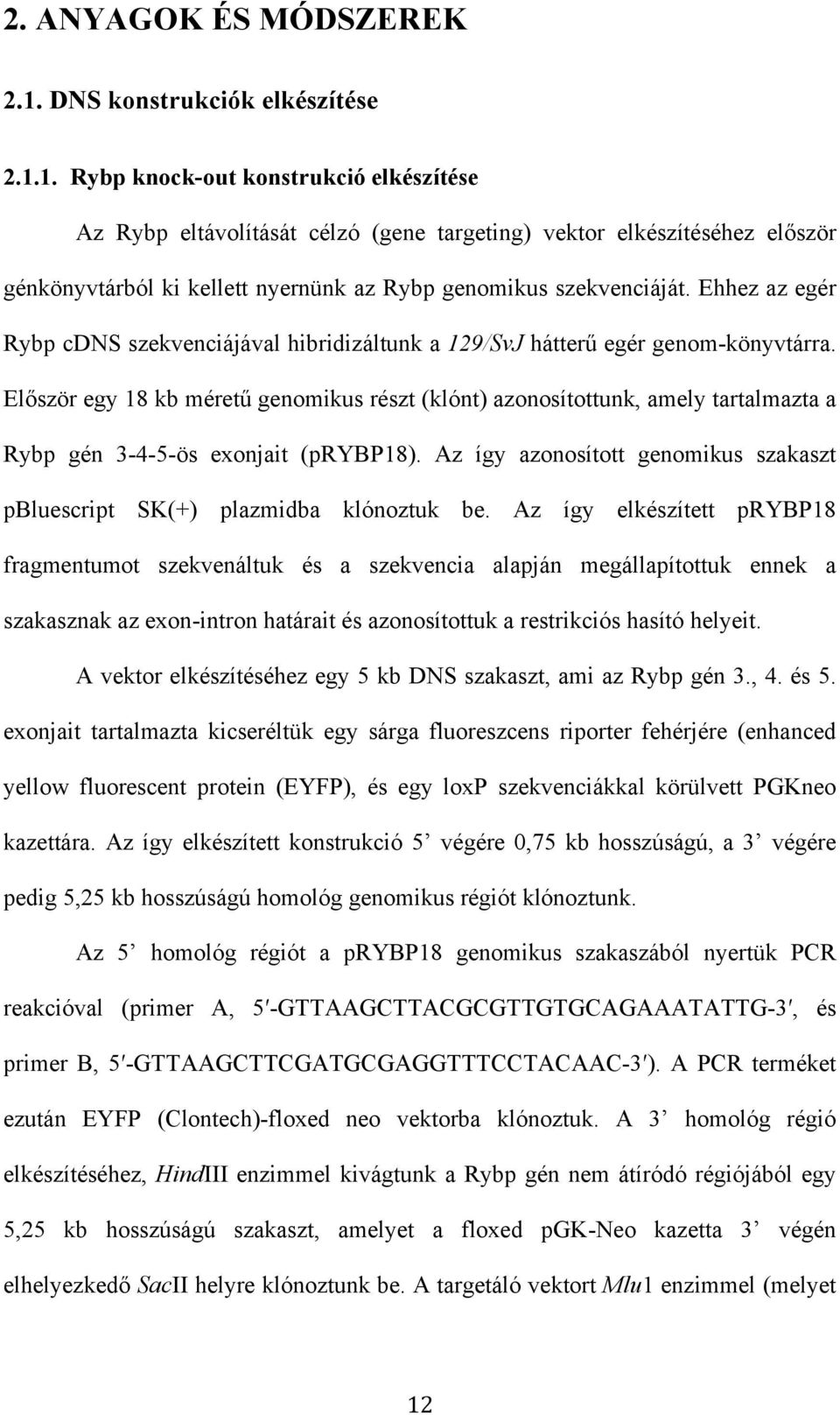 1. Rybp knock-out konstrukció elkészítése Az Rybp eltávolítását célzó (gene targeting) vektor elkészítéséhez először génkönyvtárból ki kellett nyernünk az Rybp genomikus szekvenciáját.