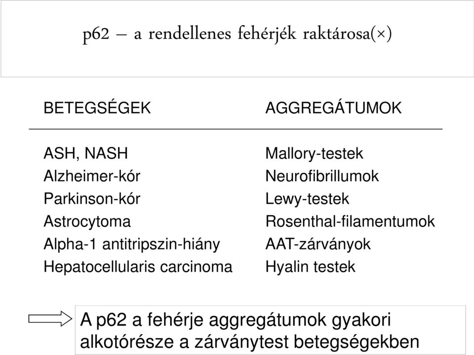 carcinoma Mallory-testek Neurofibrillumok Lewy-testek Rosenthal-filamentumok