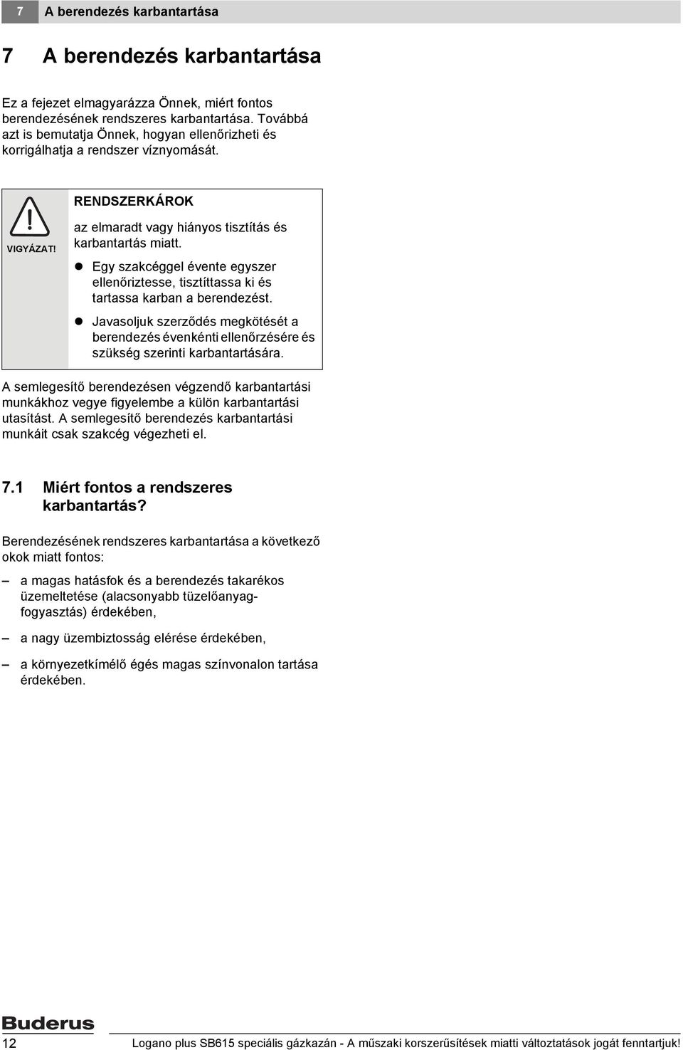 Egy szakcéggel évente egyszer ellenőriztesse, tisztíttassa ki és tartassa karban a berendezést.