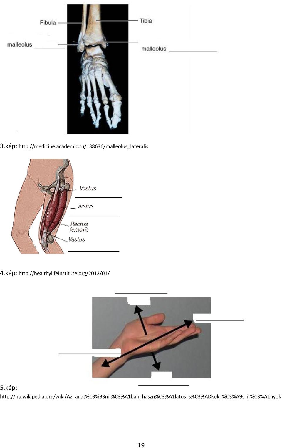 kép: http://healthylifeinstitute.org/2012/01/ 5.