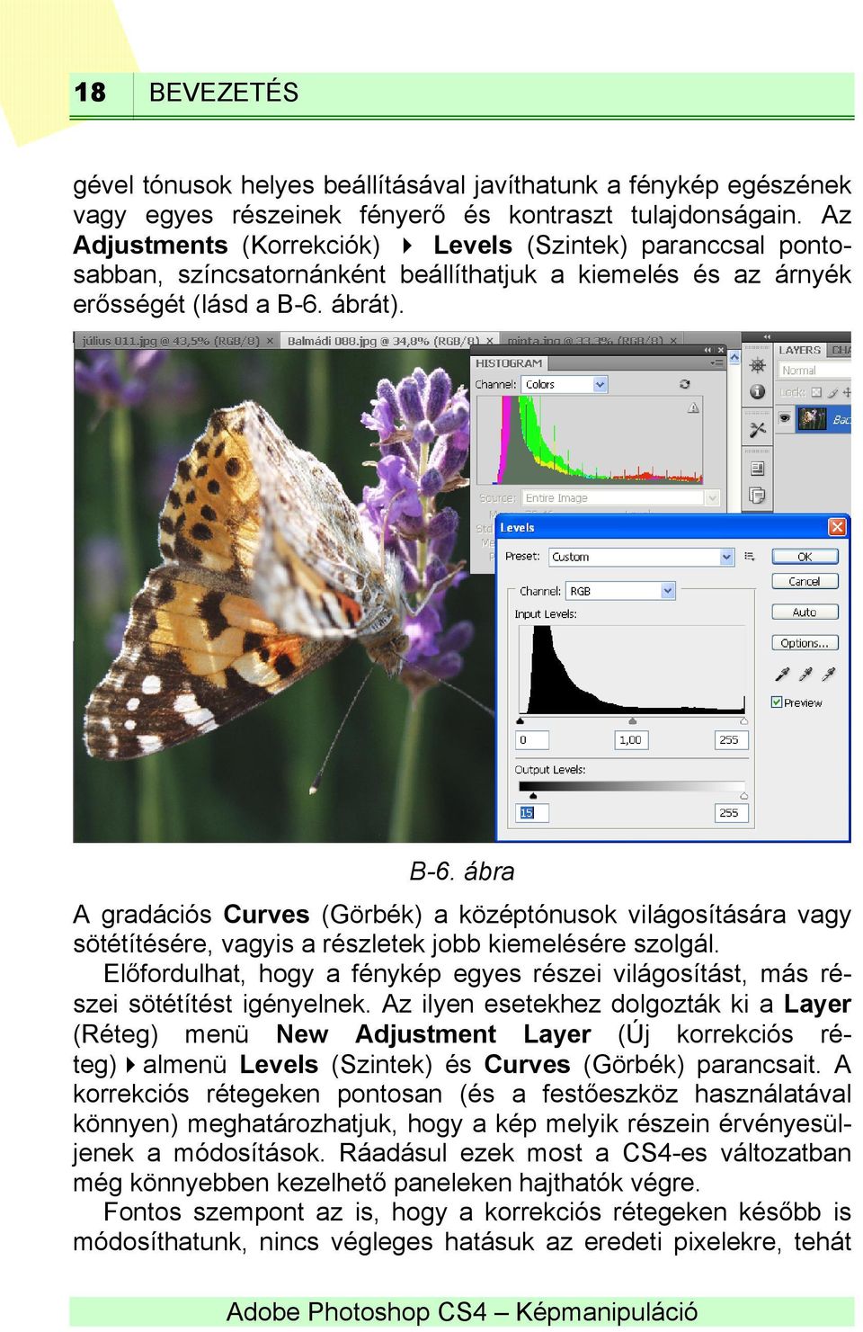 ábrát). B-6. ábra A gradációs Curves (Görbék) a középtónusok világosítására vagy sötétítésére, vagyis a részletek jobb kiemelésére szolgál.