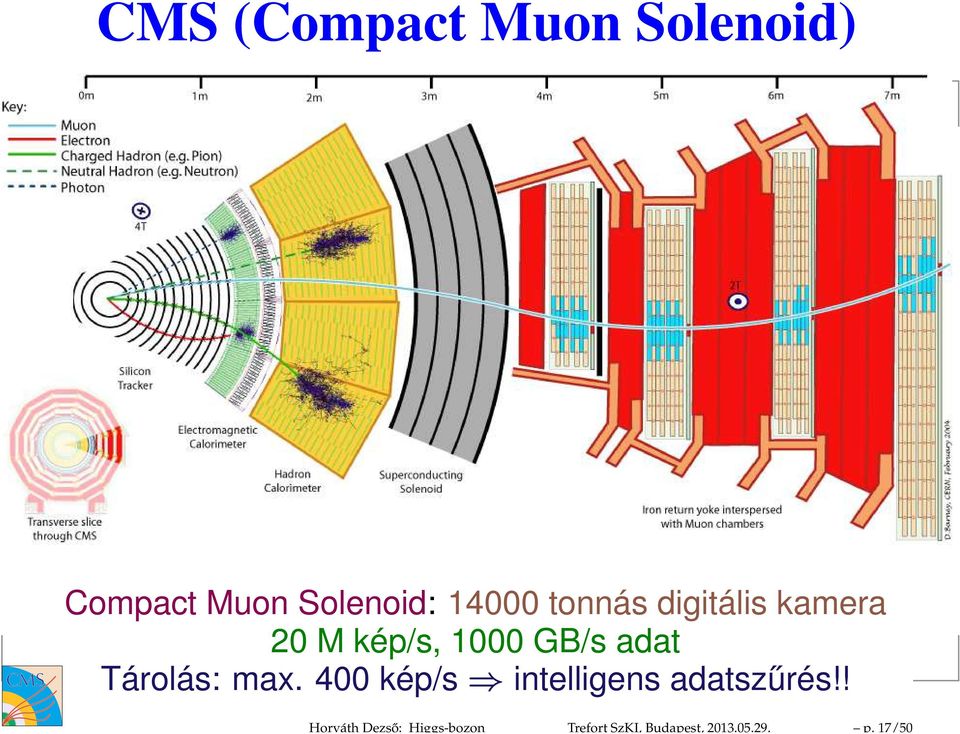 17/50 CMS (Compact Muon Solenoid) Compact Muon Solenoid: