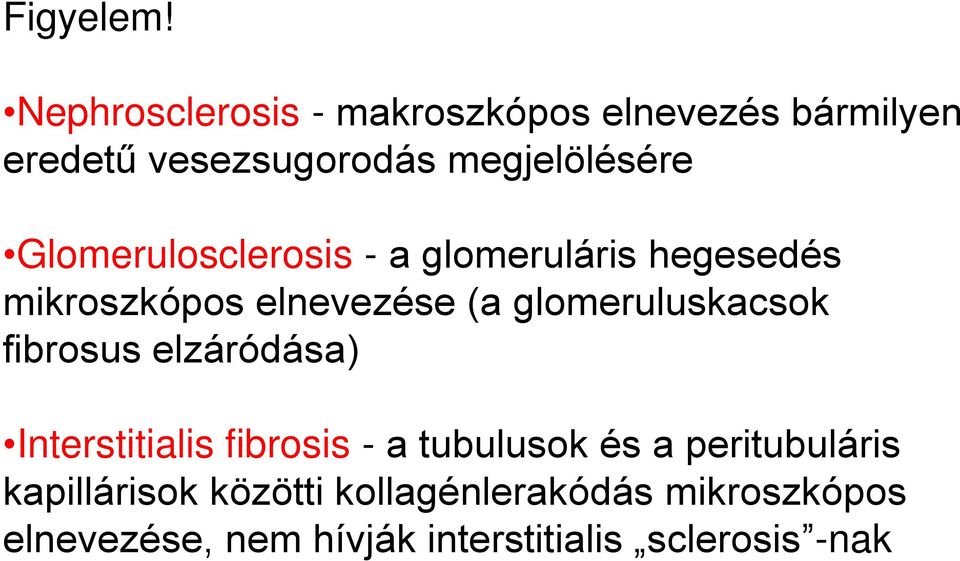 Glomerulosclerosis - a glomeruláris hegesedés mikroszkópos elnevezése (a glomeruluskacsok